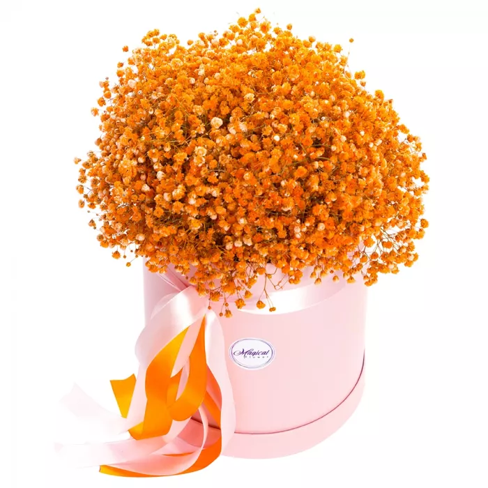 11 оранжевых гипсофил в шляпной коробке