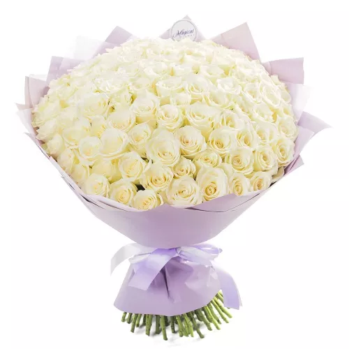 101 белая роза