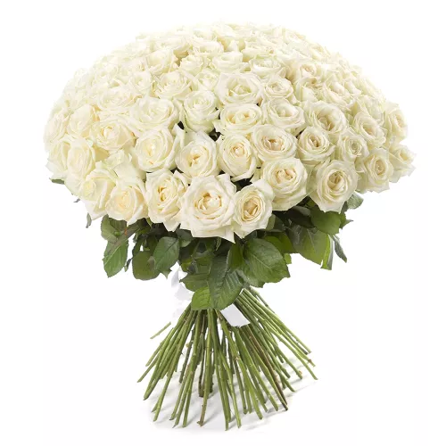 Букет из 101 белой розы premium 50 см под ленту