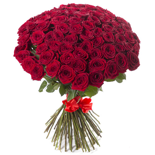 Монобукет из 101 красной розы 60 см под ленту