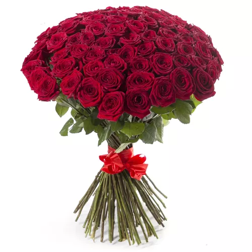 Букет из 101 красной розы 60 см под ленту