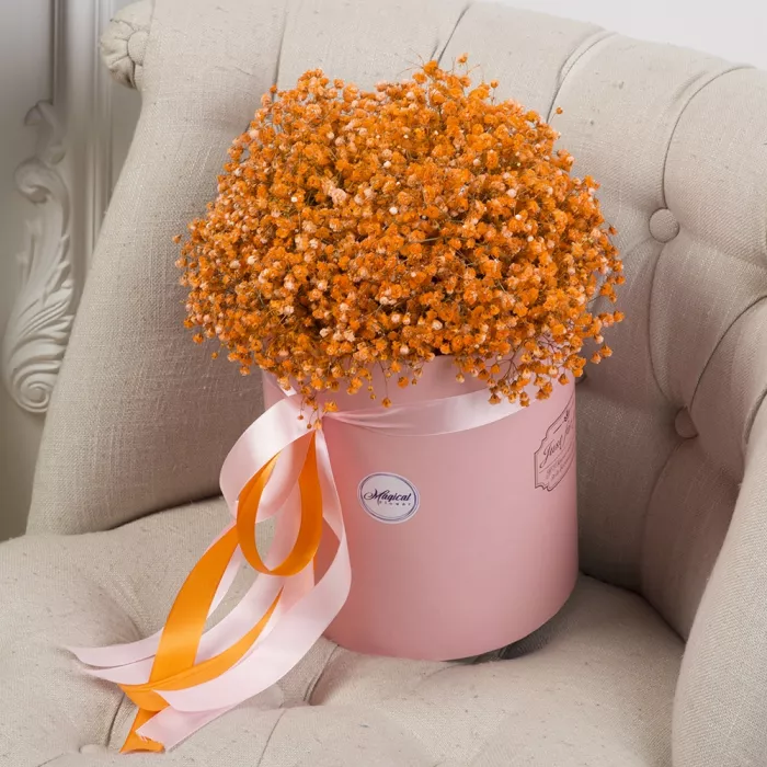 11 оранжевых гипсофил в шляпной коробке