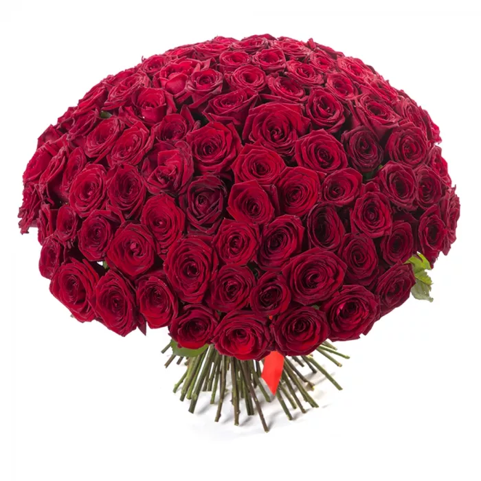 Букет из 101 красной розы 50 см