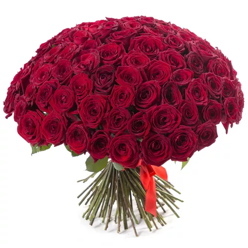 Монобукет из 101 красной розы 50 см