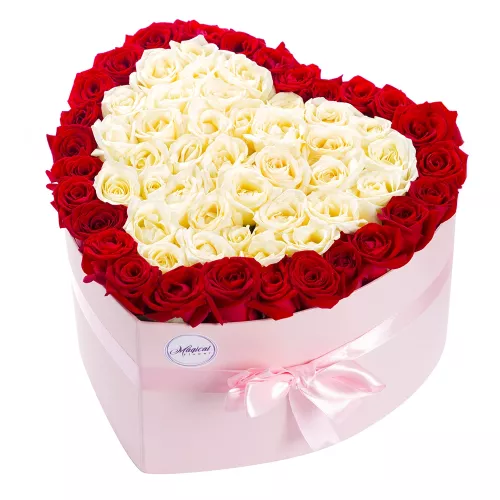 51 красная и белая роза в коробке в форме сердца