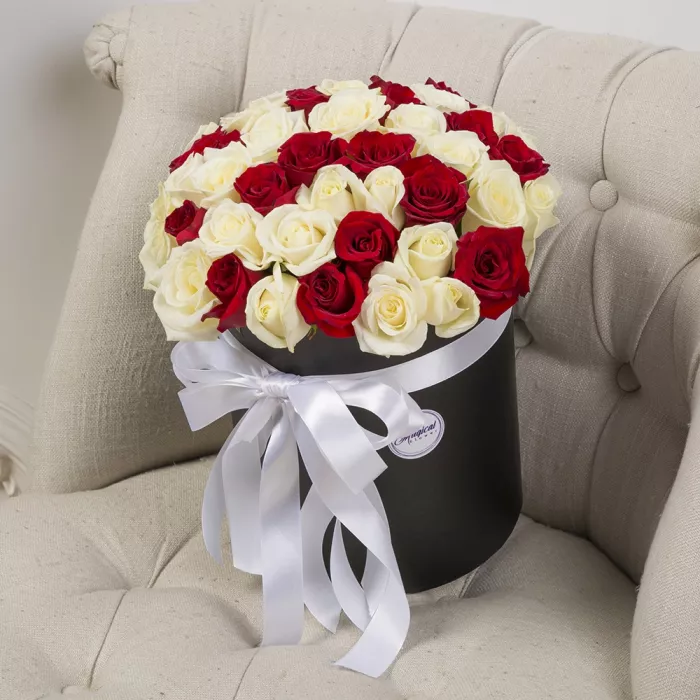 51 красная и белая роза в шляпной коробке