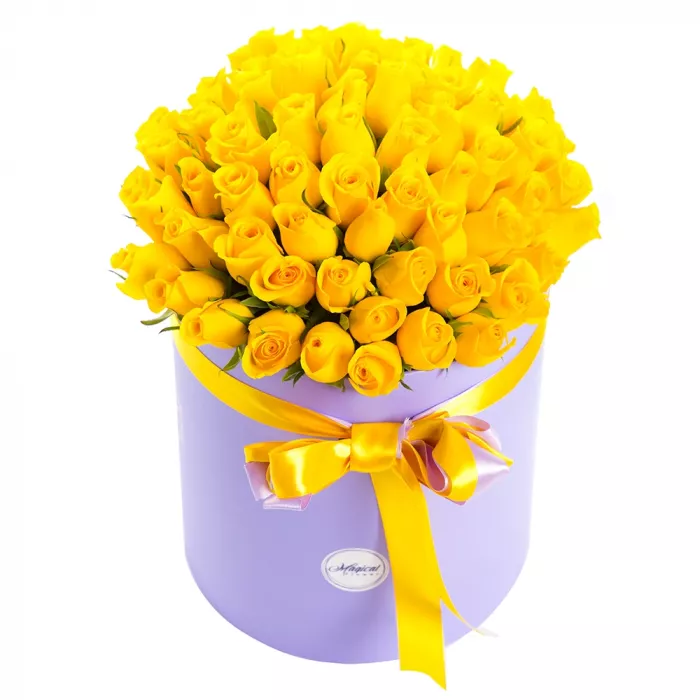 51 желтая роза в шляпной коробке