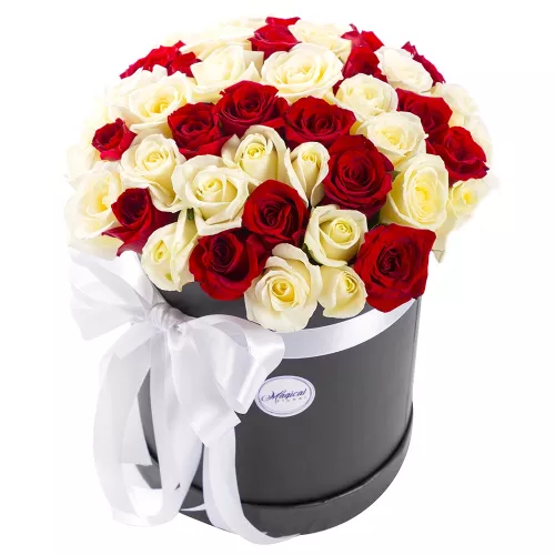 51 красная и белая роза в шляпной коробке