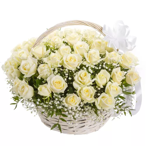 51 белая роза в корзине с гипсофилой