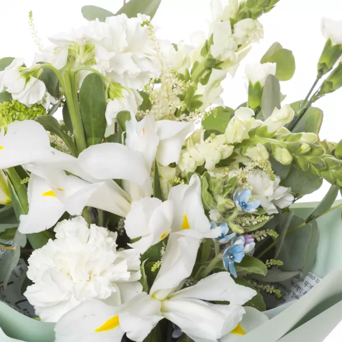 Букет с гвоздиками и ирисом Букет с гвоздиками и ирисом