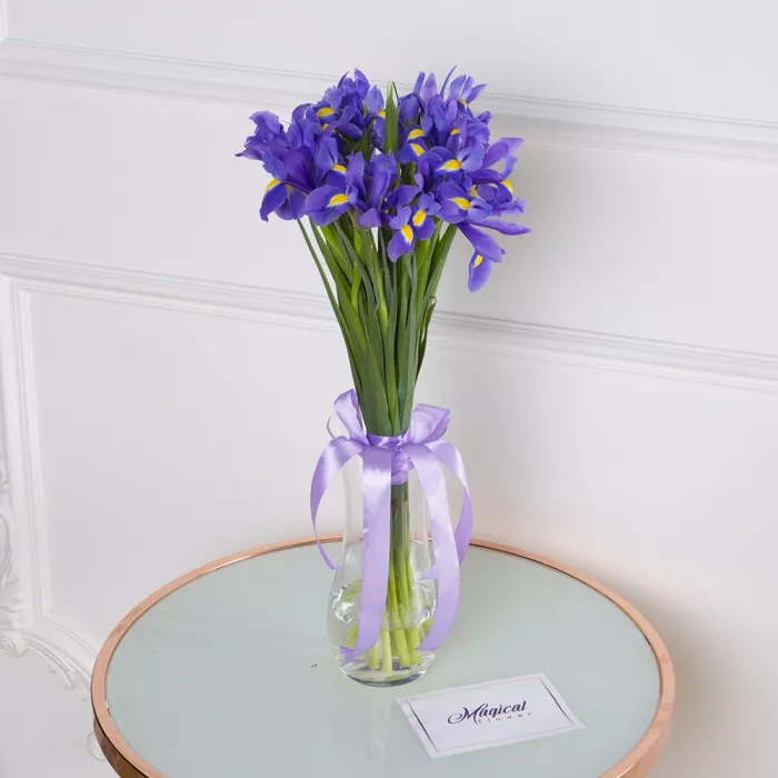 Букет из синего ириса 15 шт