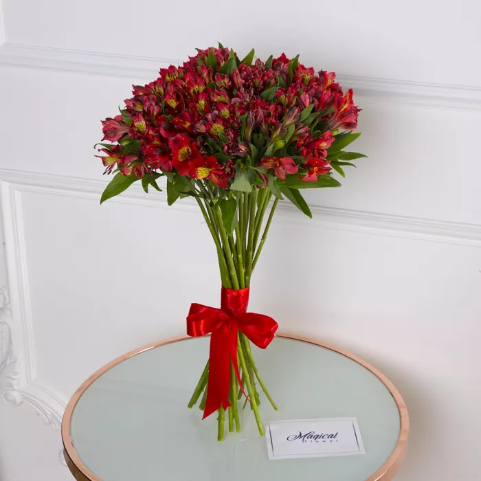 Букет из 21 красной альстромерии