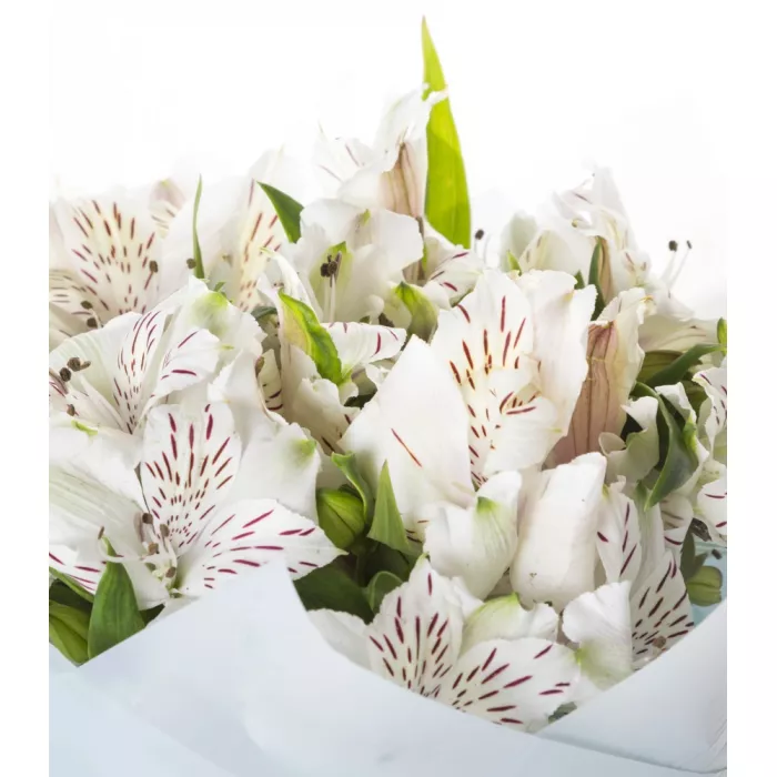 Букет из 7 белых альстромерий
