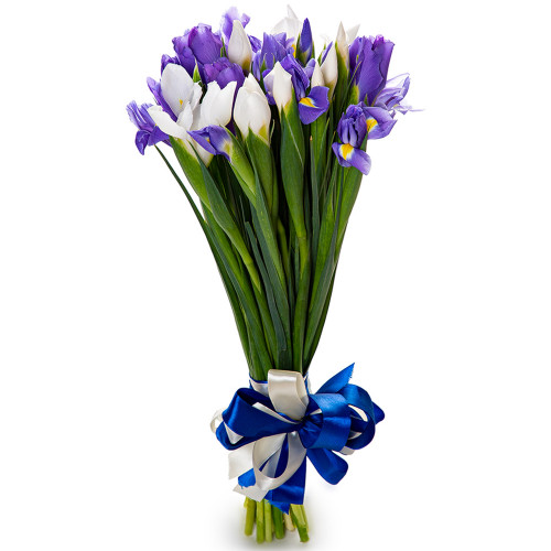Букет цветов из белого и синего ириса 25 шт