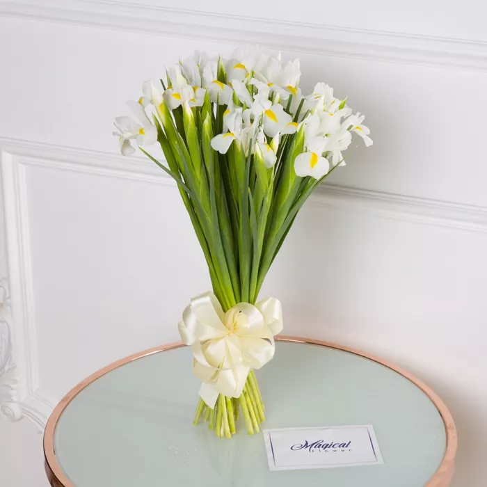 Букет из белого ириса 35 шт