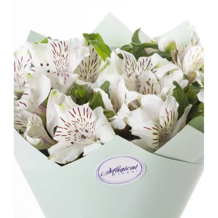 Букет из 5 белых альстромерий
