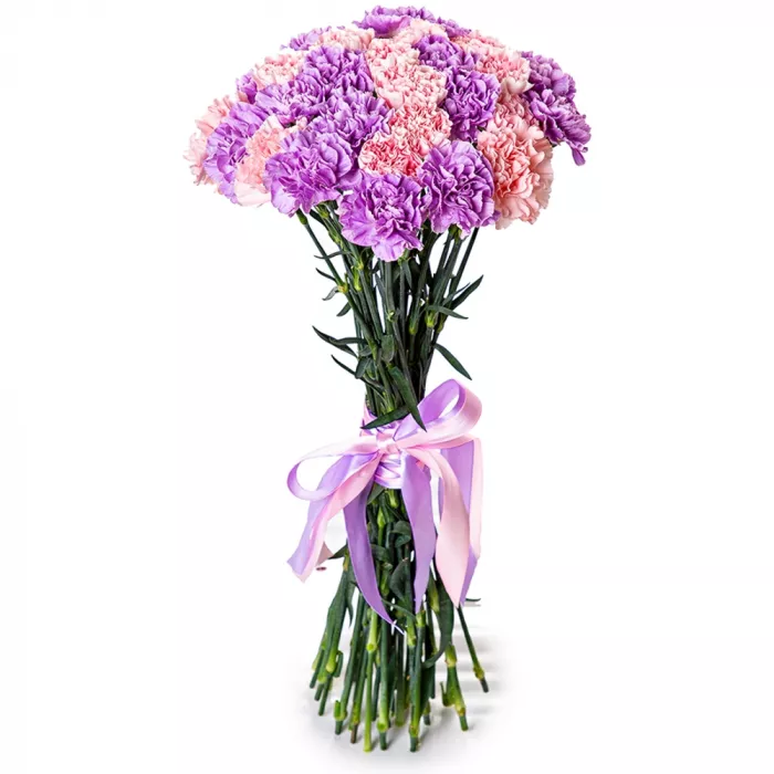 27 разноцветных гвоздик 27 разноцветных гвоздик