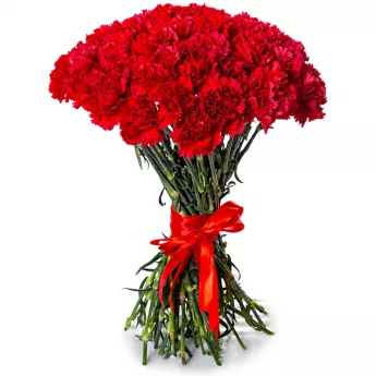 51 красная гвоздика