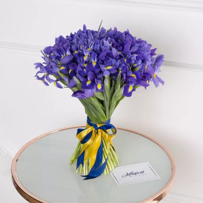 Букет из 101 синего ириса