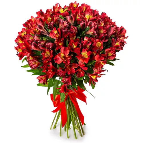 Букет цветов для жены из 35 красных альстромерий