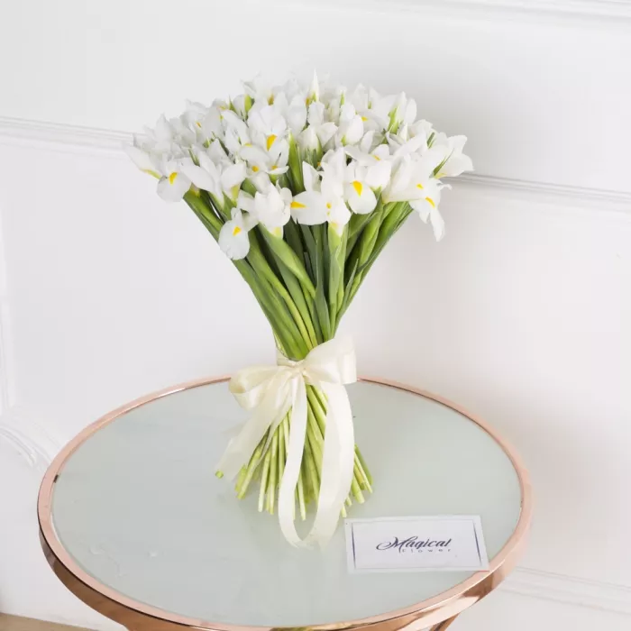 Букет из 51 белого ириса