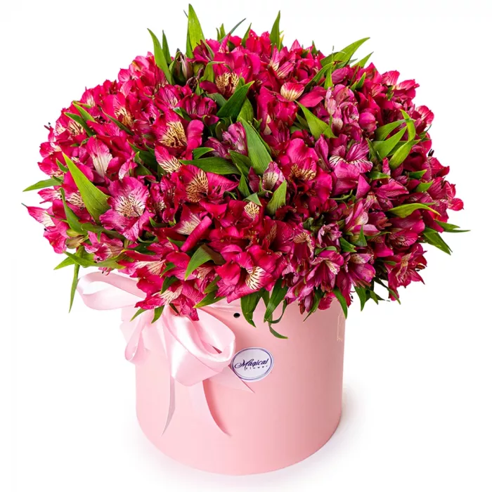 35 альстромерий в шляпной коробке