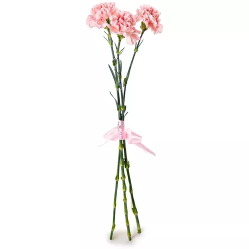 3 розовых гвоздики