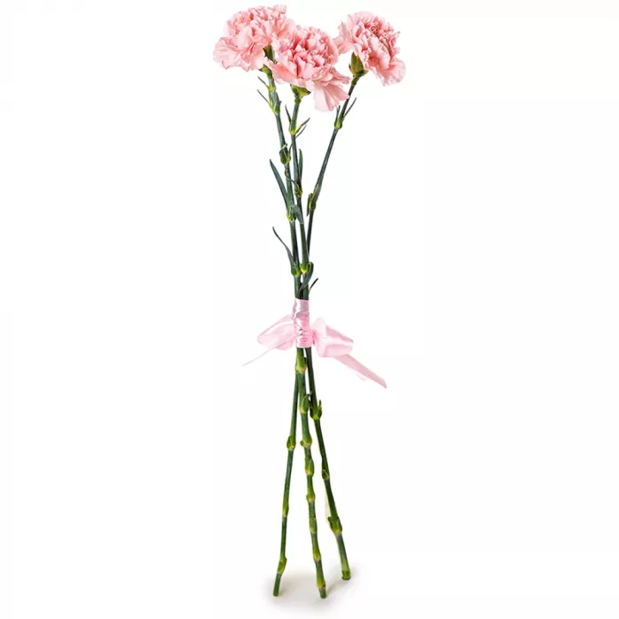 3 розовых гвоздики