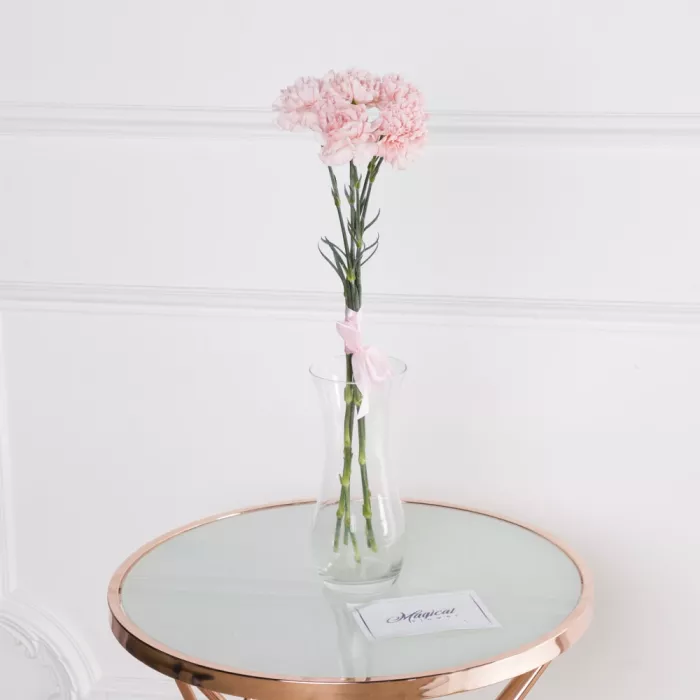 5 розовых гвоздик