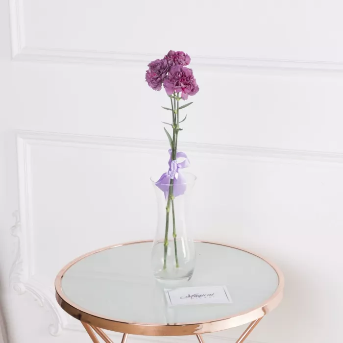 3 фиолетовые гвоздики