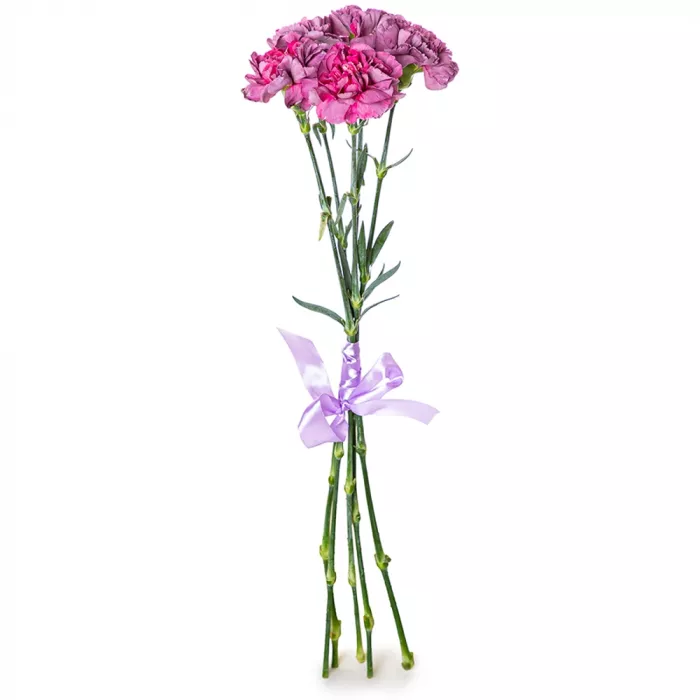 5 фиолетовых гвоздик