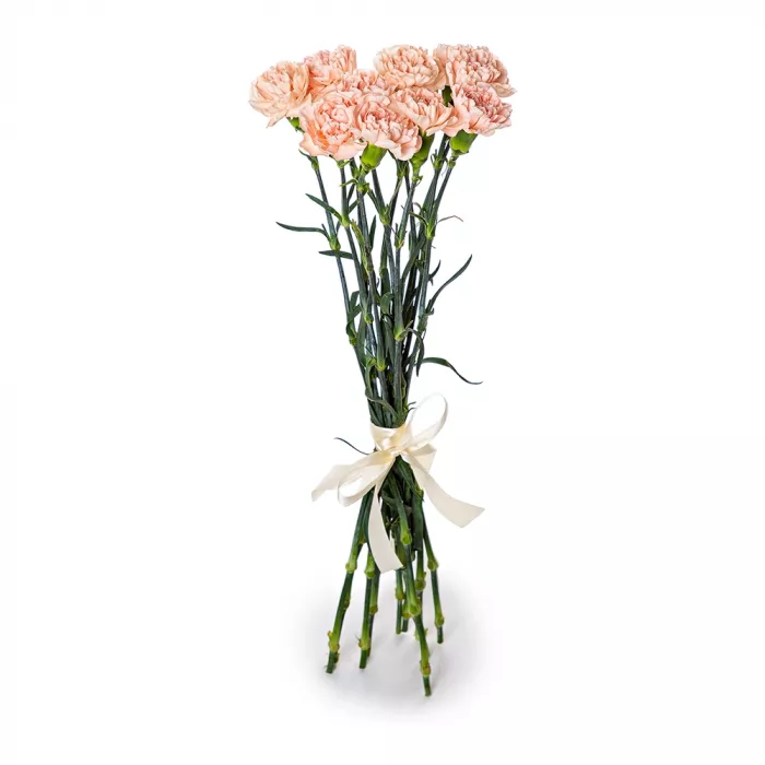 11 кремовых гвоздик