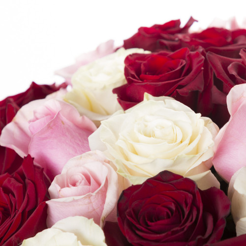 75 разноцветных роз Эквадор 70 см