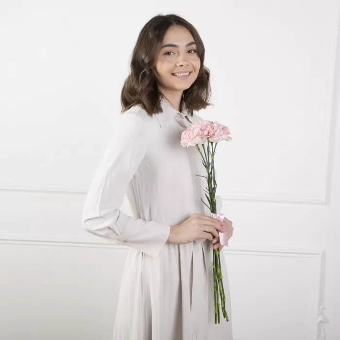 5 розовых гвоздик