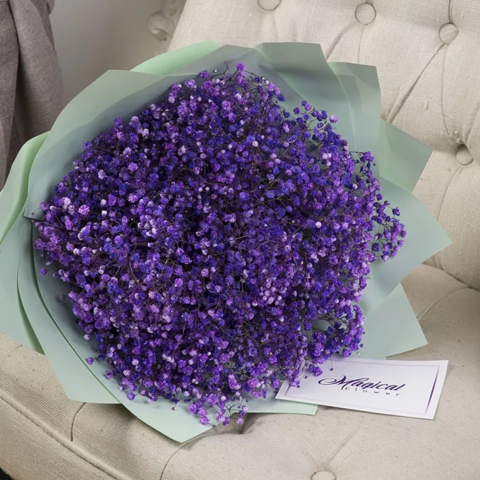 Букет из 15 сиреневых гипсофил