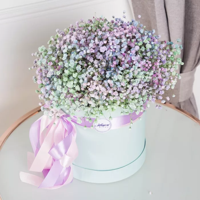 11 разноцветных гипсофил в шляпной коробке