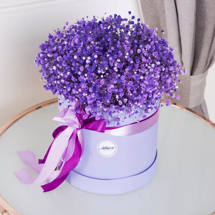 Букет из 11 сиреневых гипсофил в шляпной коробке