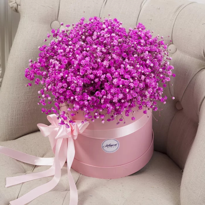 11 розовых гипсофил в шляпной коробке