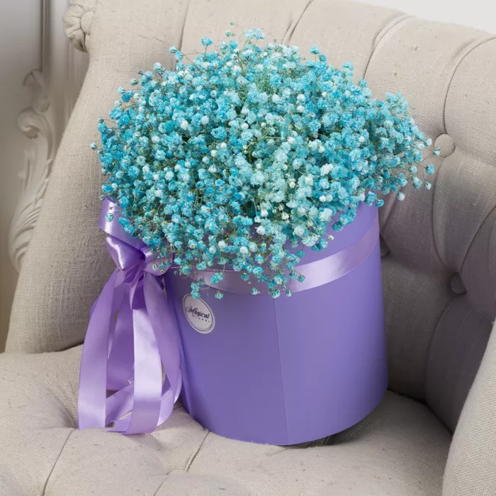 11 бирюзовых гипсофил в шляпной коробке