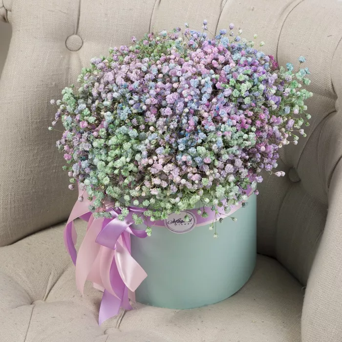 11 разноцветных гипсофил в шляпной коробке