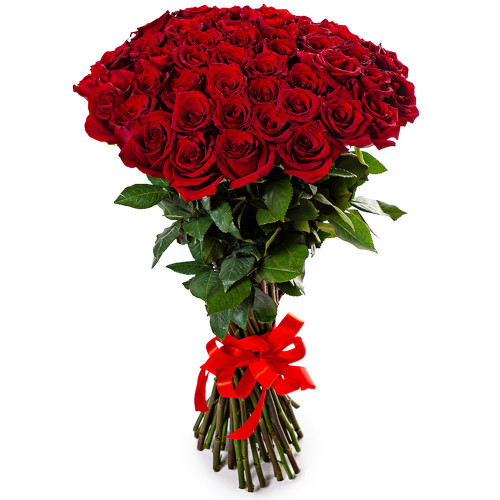 Монобукет из 51 красной розы Эквадор 70 см