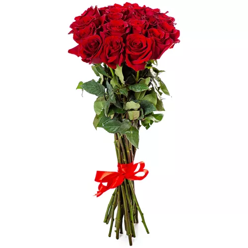 19 бордовых роз Эквадор 70 см