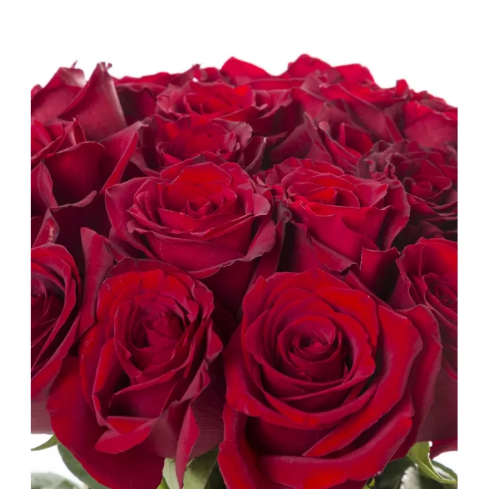 19 красных роз Эквадор 70 см