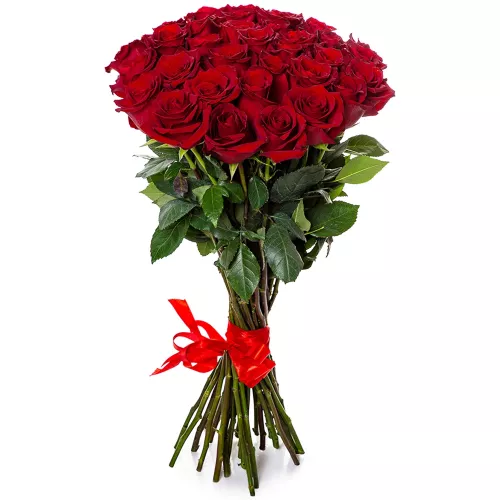 Огромный букет из 35 красных роз Эквадор 70 см