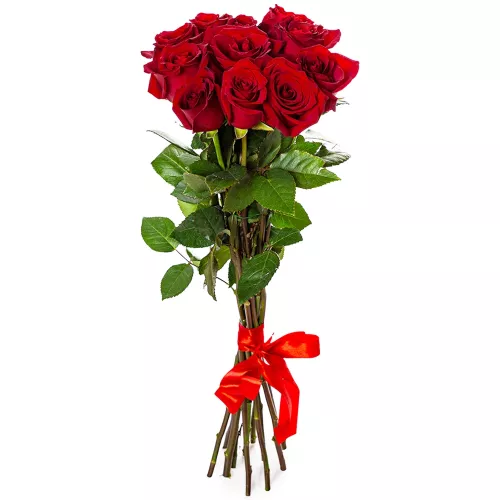 Монобукет из 11 красных роз Эквадор 70 см