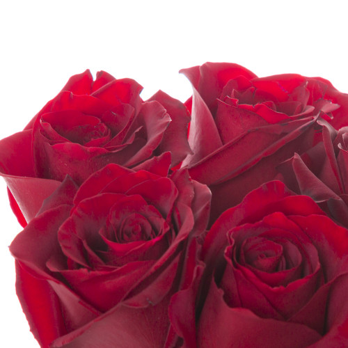 Монобукет из 5 красных роз Эквадор 70 см