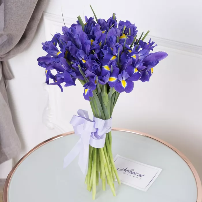Букет из синего ириса 25 шт