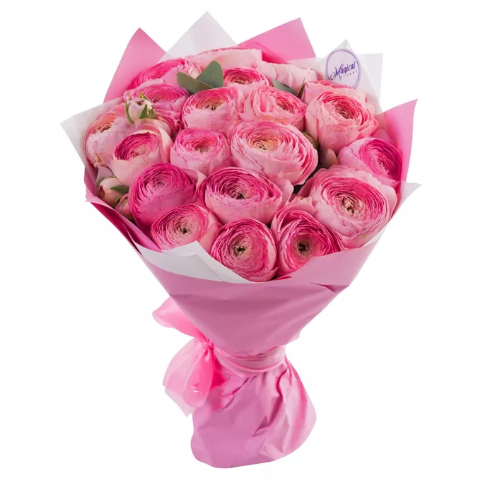 Букет 21 розового ранункулюса
