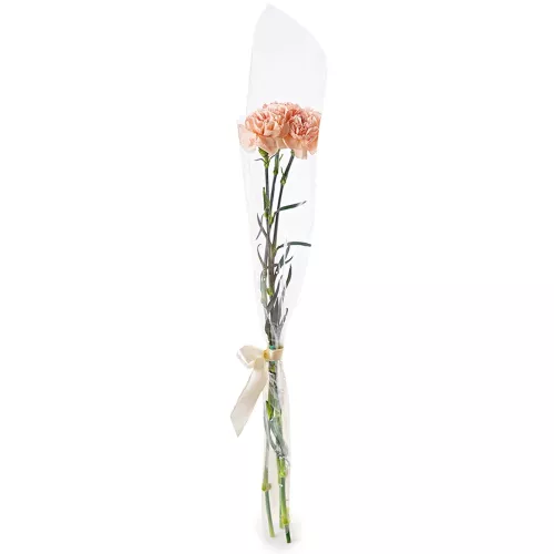 3 кремовые гвоздики