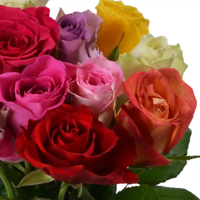 11 разноцветных роз